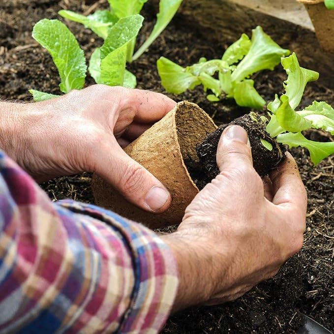 100 Pack 4 Inch Peat Pots, Biodegradable Seed Starter Pots - Image 5