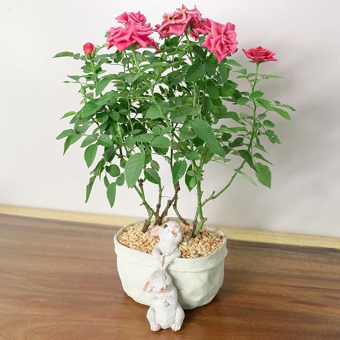 Rabbit Flower Pot Succulent Planter Garden Pots, Decorative Flower Pot - Image 6