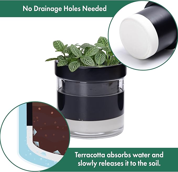 Phoenix Vine 4 Inch Self Watering Planter Pot - Image 5