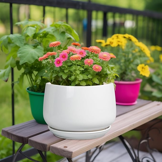 G EPGardening Ceramic Planter 9 Inch - Image 2