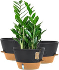 12-Inch Self Watering Planters by FIASON