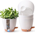 T4U 4 Pack 6 Inch Self Watering Pots by T4U