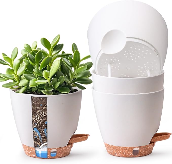 T4U 4 Pack 6 Inch Self Watering Pots by T4U