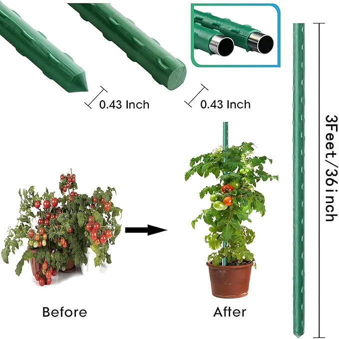 3Feet 36inch Garden Stakes Sturdy Plant Sticks Support Tomato Stakes - Image 2