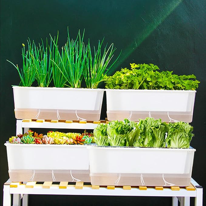 FAMZ Self Watering Pots for Indoor Plants 3 Pack Transparent Rectangular - Image 8