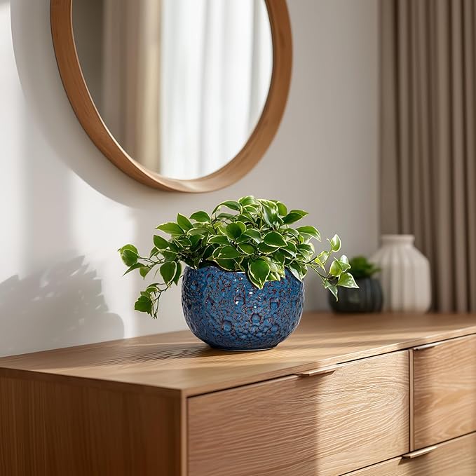 6 Inch Plant Pot - Image 7