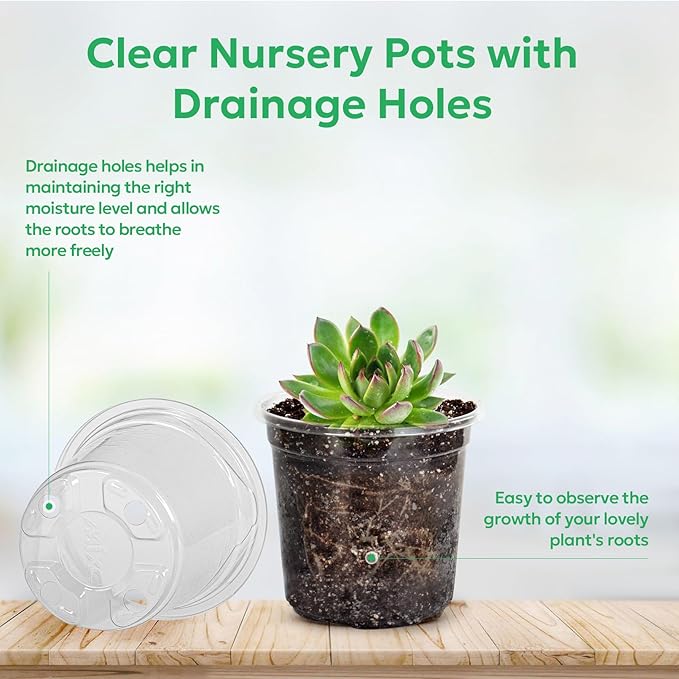 60 Packs 3.5 Inch Reinforced Clear Nursery Pots - Image 3