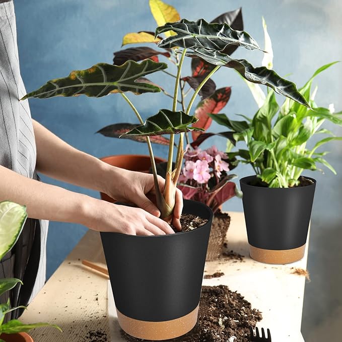 GARDIFE Plant Pots 7/6.5/6/5.5/5 Inch Self Watering Planters - Image 6