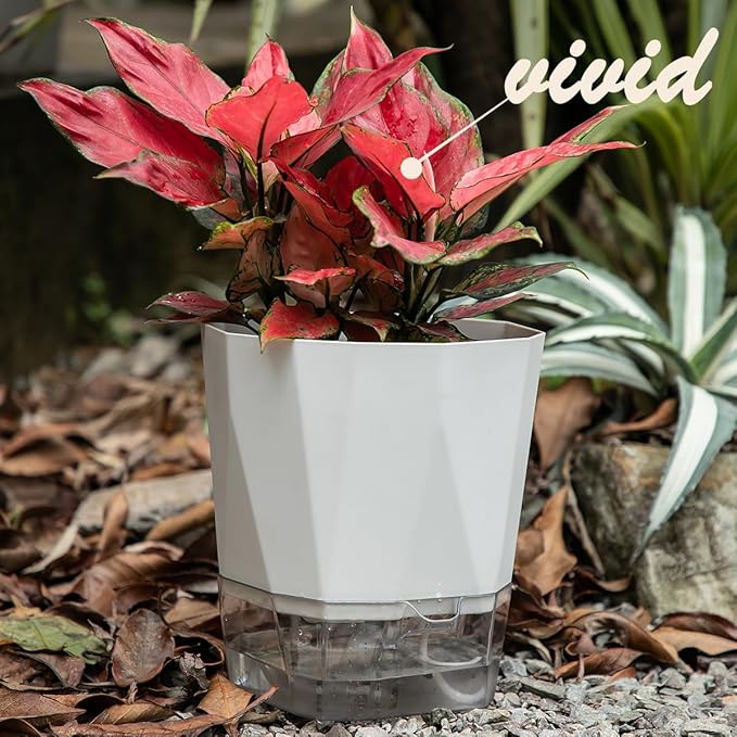 5 Pack Self Watering Plant Pots 5/6.7/8.4 In Self Watering Planters - Image 4