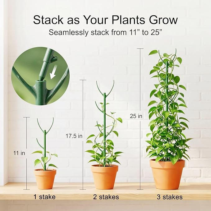 20-Pack Monstera Plant Support Stakes - Image 4
