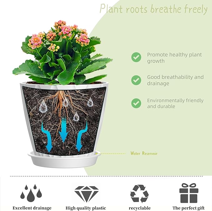 4 Inch Plant Pots, 6 Pack Indoor Flower Pots, Planters - Image 4