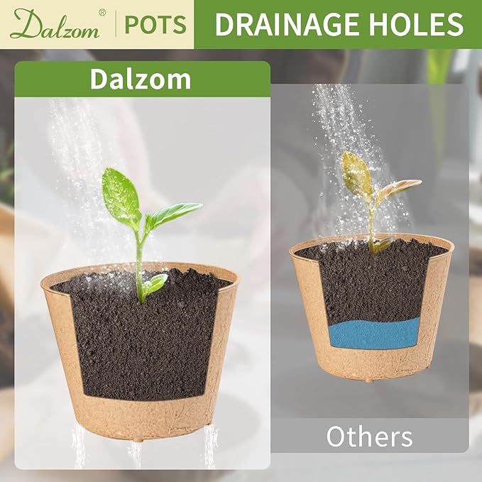 Dalzom® 60Pcs 4” Peat Pots - Image 4