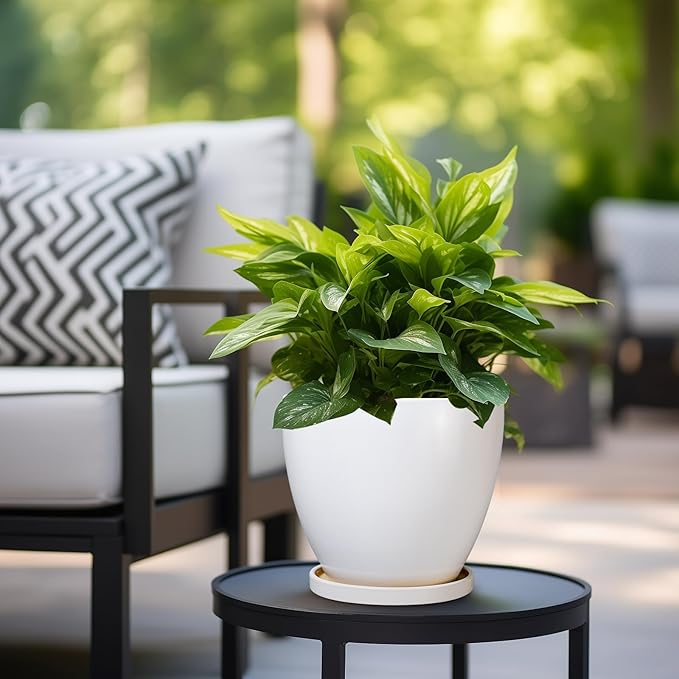 8 Inch Plant Pot - Image 5