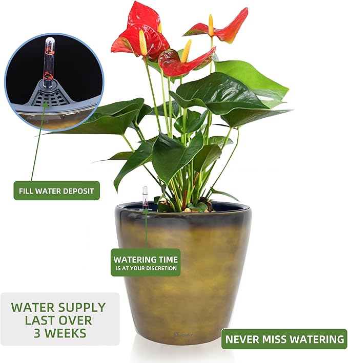 Dexceder 18x17 Self Watering Planter - Image 5