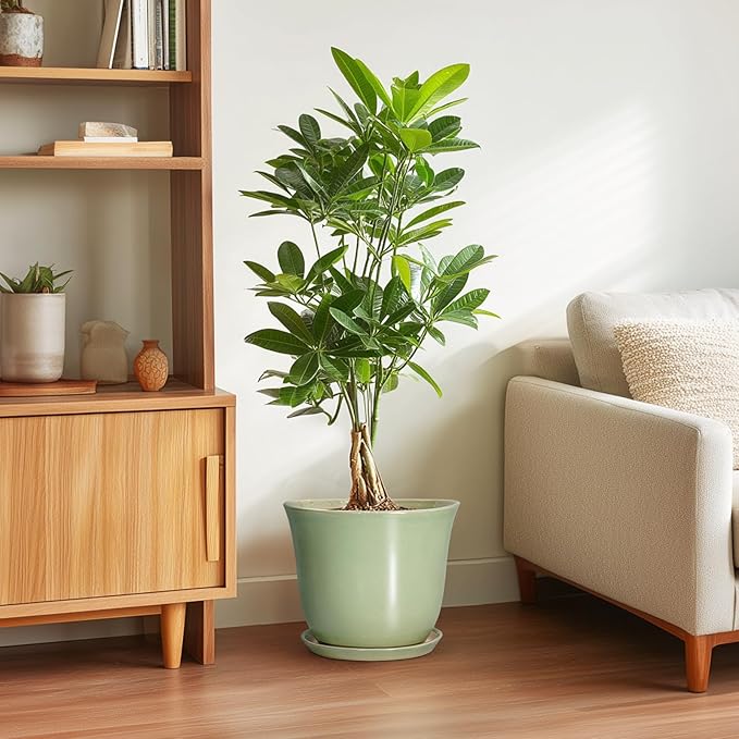 Ceramic Pots for Plants - Image 4
