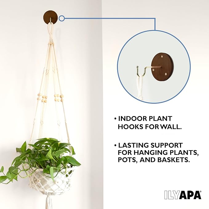 Ilyapa 3 Pack Metal Wall Plant Hangers - Image 5