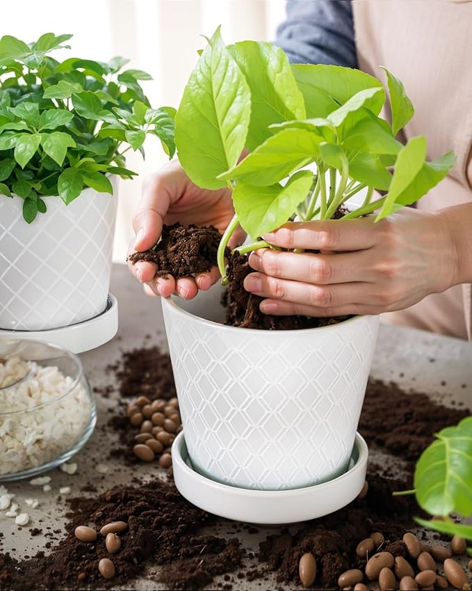 EFISPSS Flower Planter –5 inch Ceramic Plant Pots - Image 3
