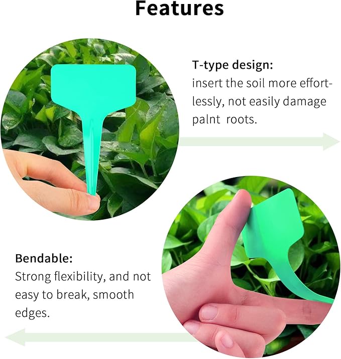 Green Plant labels - Image 5
