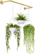 Bamworld Hanging Planters for Indoor Plants Plant Hanger Indoor Hanging Plant by Bamworld