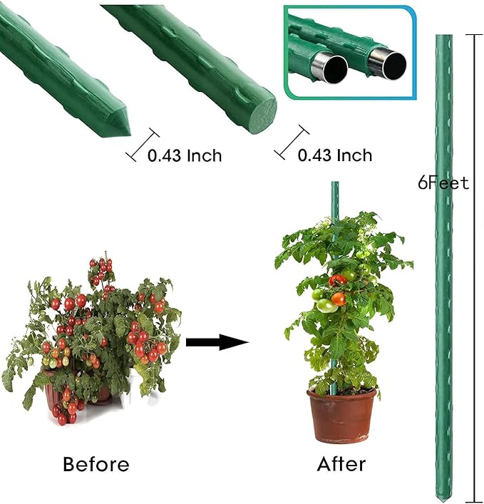 6Ft 72inch Garden Stakes Sturdy Plant Sticks Support Tomato Stakes - Image 2