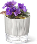 Self Watering Pots for Indoor Plants, 4 and 5.3 Inch by Samhe