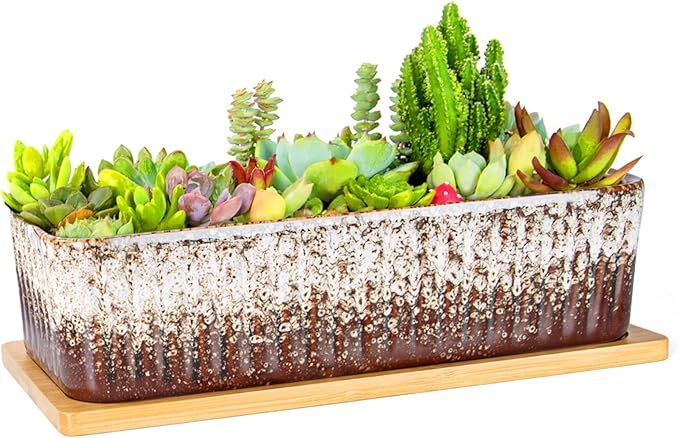Succulent Pots - 12 Inch Large Succulent Planters by ARTKETTY