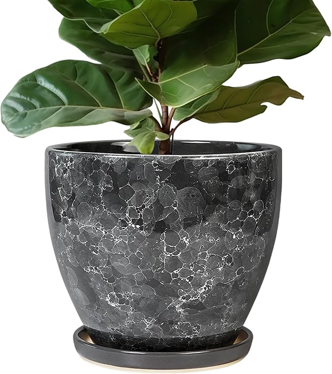 Ceramic Pots for Plants by EPFamily
