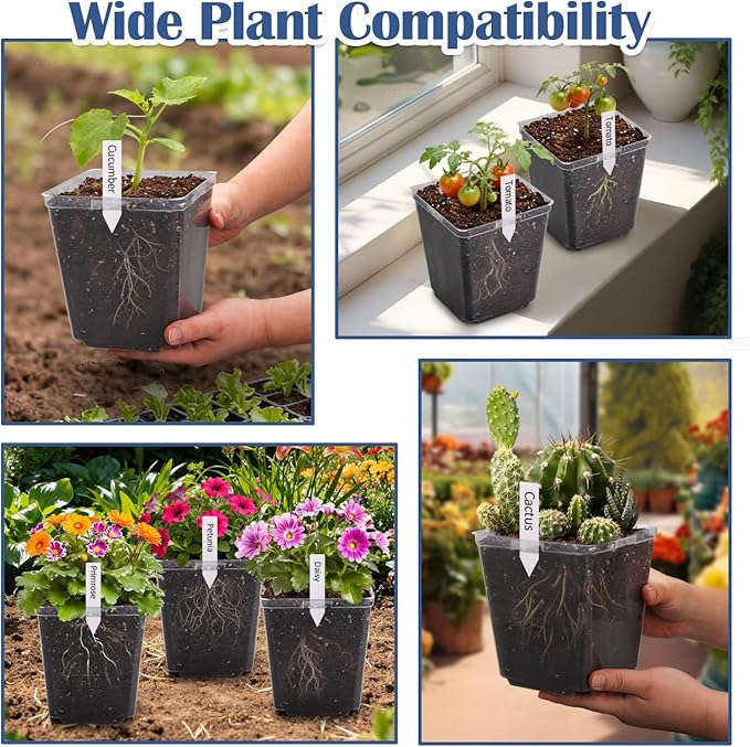 5.5 Inch Clear Square Nursery Pots - Image 7