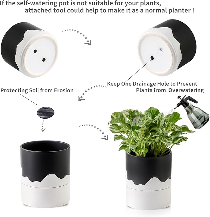 Nihow Self Watering Plant Pot: 6 Inch Ceramic Planter - Image 4