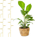 succulentlovers 4PCS Indoor Plant Support Stakes, 12.6 Inch Metal Monstera by succulentlovers