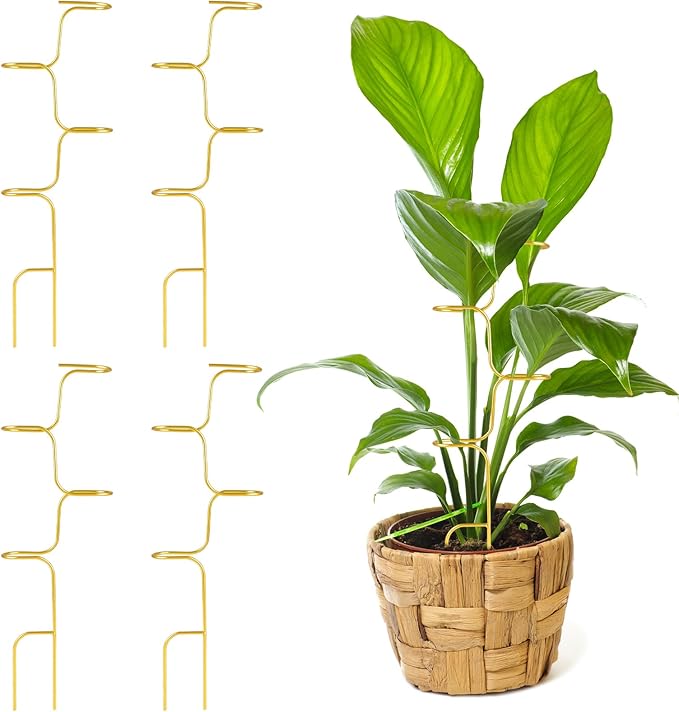 succulentlovers 4PCS Indoor Plant Support Stakes, 12.6 Inch Metal Monstera by succulentlovers