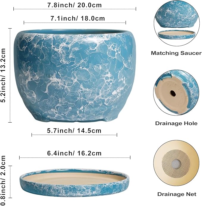 SQOWL Ceramic Pots for Plants - Image 3