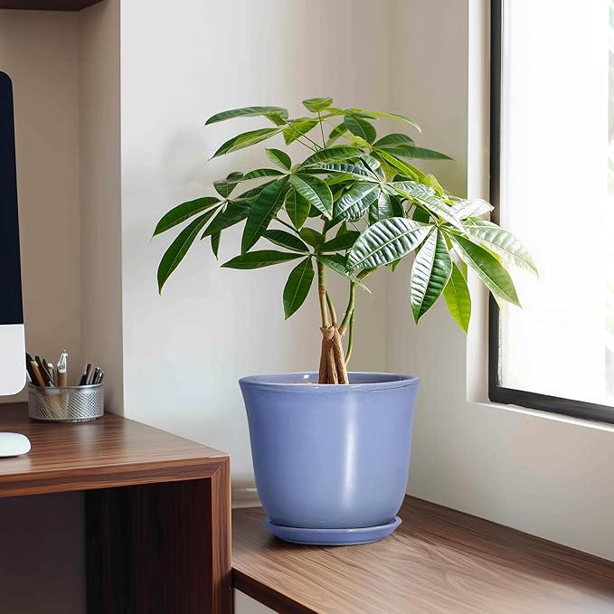 Ceramic Pots for Plants - Image 3