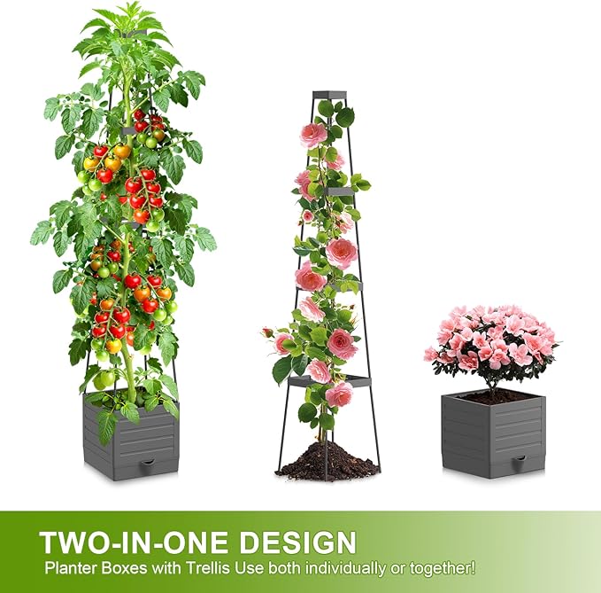 2 Pack Raised Garden Bed Tomato Planter - Image 5