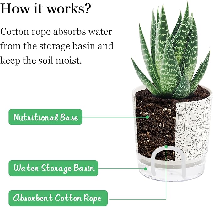 Self Watering Pots for Indoor Plants, Flower Pots, Self Watering Plant Pot-2pcs - Image 4