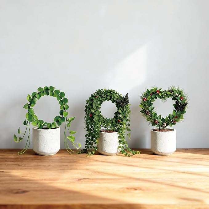 Indoor Climbing Plant Trellis - Image 6