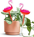 Self-Watering Glass Globes 2PCS Flamingo Gradient Hot Pink 10" Long Hand Blown by NiHome