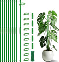 Plant Stakes 17 inch SupKing Support Stick Orchid Stakes by SupKing