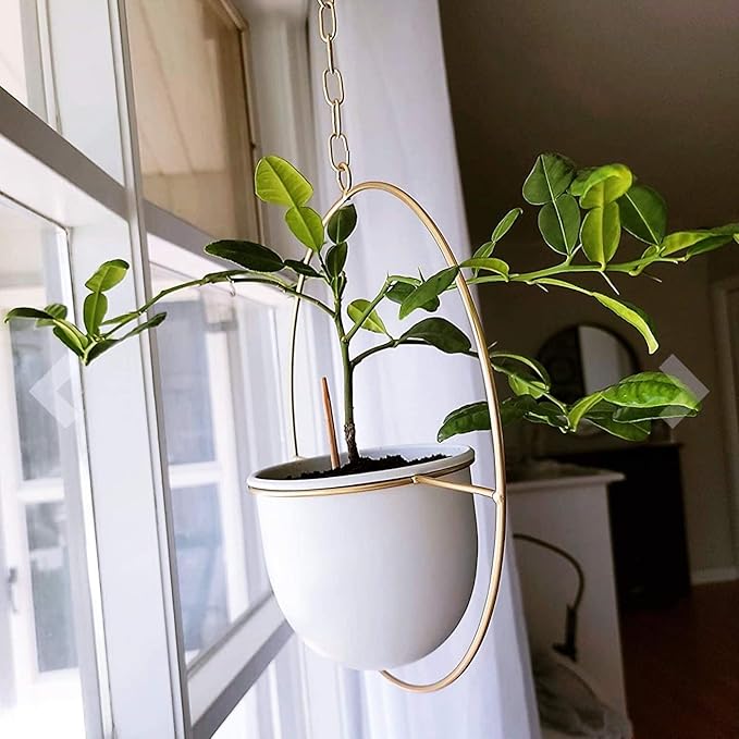 2 Pack Hanging Planters for Indoor Plants - Image 3