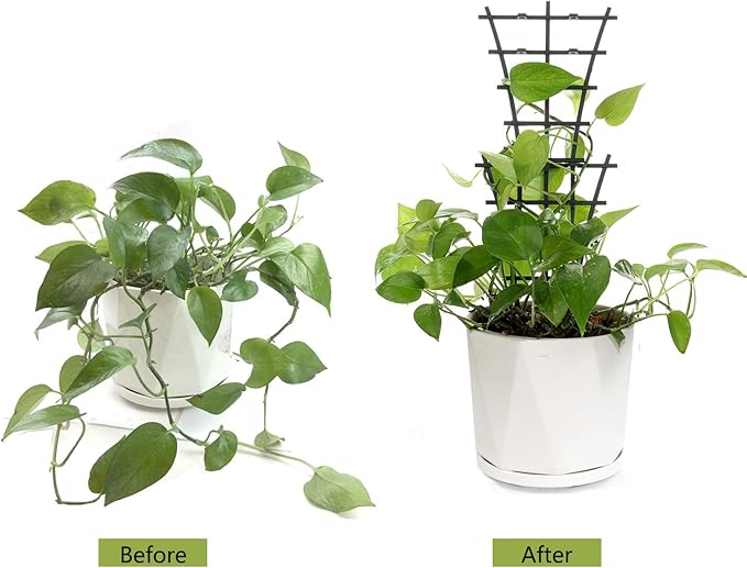 Plant Trellis Indoor, Small Plant Climbing Trellis - Image 5