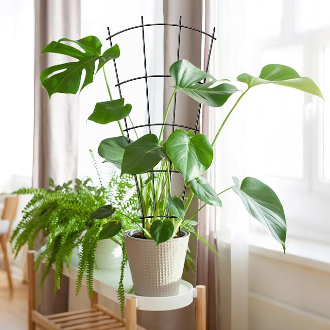 4 Pack 32'' Indoor Plant Trellis - Image 8