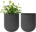 La Jolie Maison Wall Hanging Planters by LaJol%C3%ADeMuse