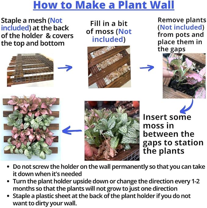 ShopLaLa Wall Planter - Image 5