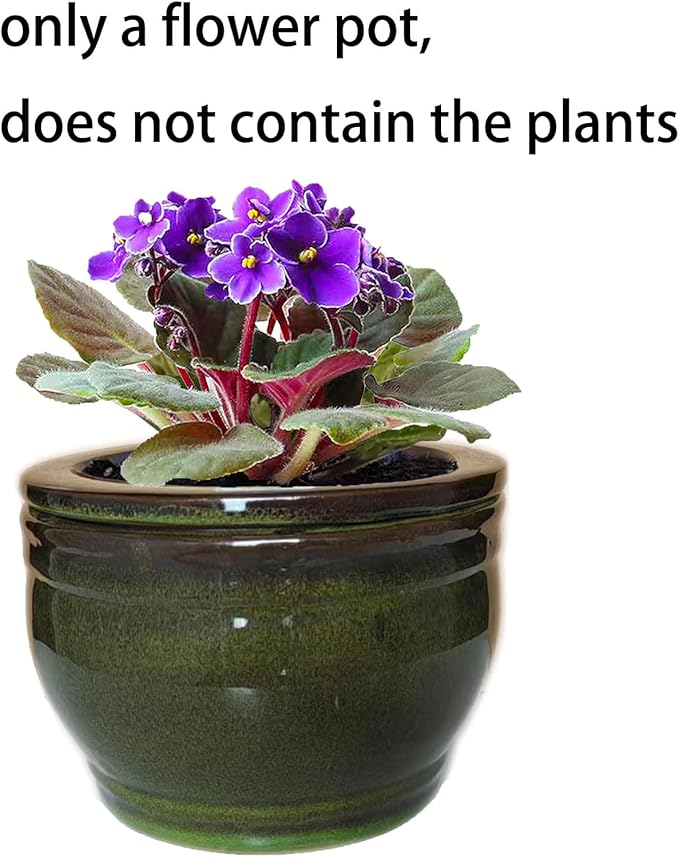 African Violet Pots Self Watering Round Ceramic Violet Pot - Image 6