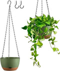 Hanging Planters for Indoor Plants by Unknown
