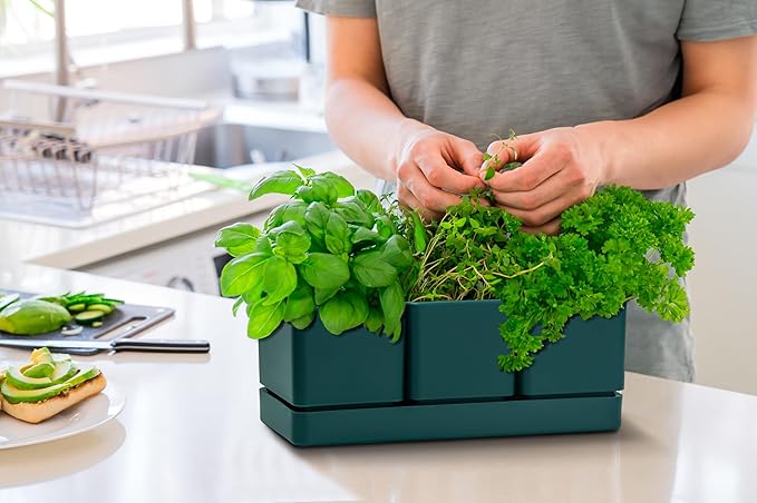 D'vine Dev Herb Garden Planter Set, Plastic Plant Pots - Image 3