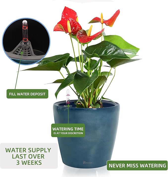Dexceder 9x8 Inches Self Watering Planter Indoor Outdoor, Inner Pot Design - Image 5