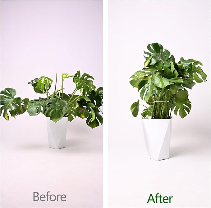 5PCS Monstera Plant Support Hook - Image 3