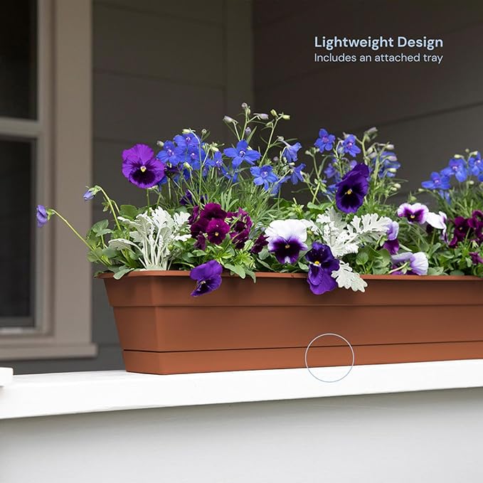 Bloem Dura Cotta Window Box Planter: 30" - Image 2