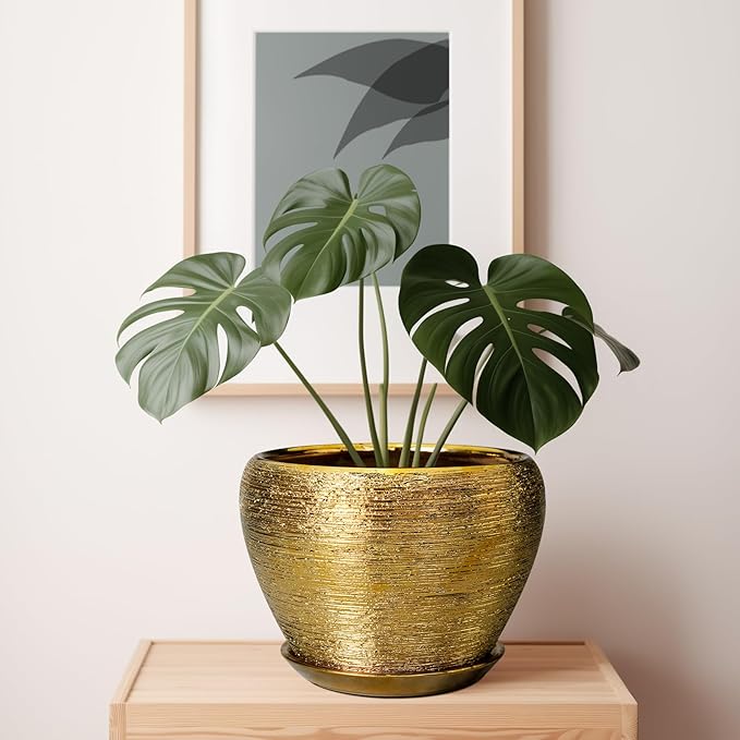 Ceramic Planter 10 Inch - Image 6